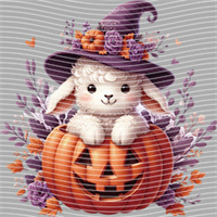 Halloween-WS 5726